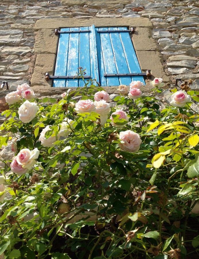 Saint-Jean-de-Ceyrargues L'Autre Maison المظهر الخارجي الصورة